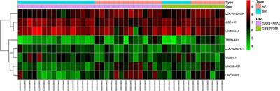 Construction and Analysis of the lncRNA-miRNA-mRNA Network Based on Competing Endogenous RNA in Atrial Fibrillation